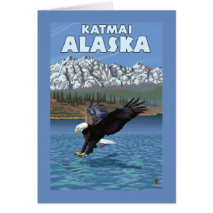 Cartão Divisor Bald Eagle - Katmai, Alaska