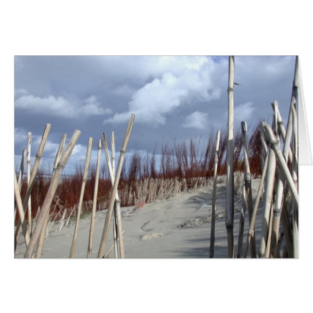 Cartão Divisória de praia (Frente Horizontal)