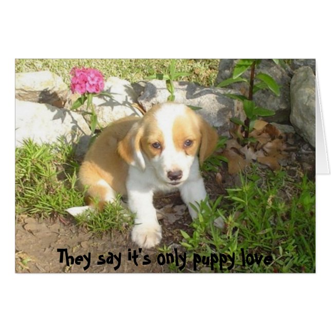 Cartão Dizem que é só amor de cachorrinho (Frente Horizontal)