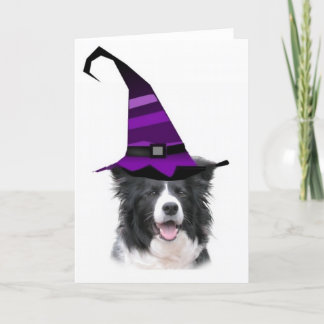 Cartão Dizzy Dogz~Border Collie Card~Halloween~Witch