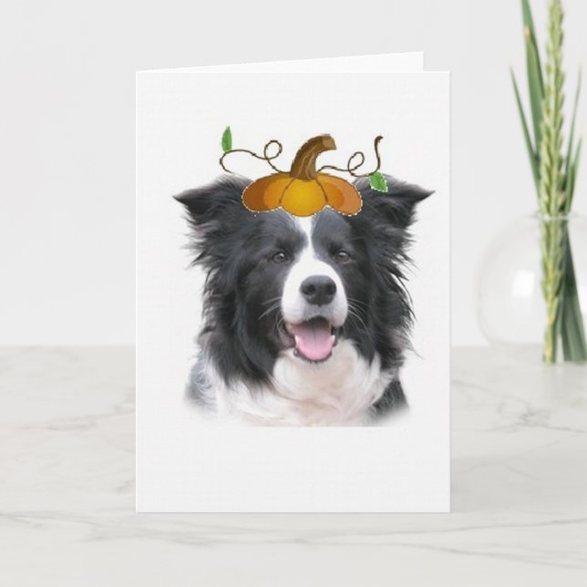 Cartão Dizzy Dogz~Border Collie Note Card~Halloween (Frente)
