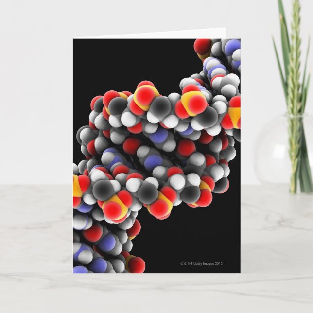 Cartão DNA molecule. Molecular model of DNA (Frente)