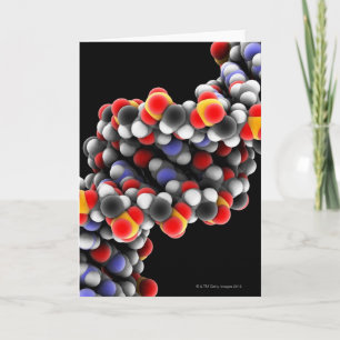 Cartão DNA molecule. Molecular model of DNA