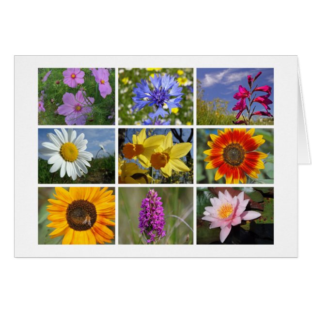 Cartão do amante das flores (Frente Horizontal)