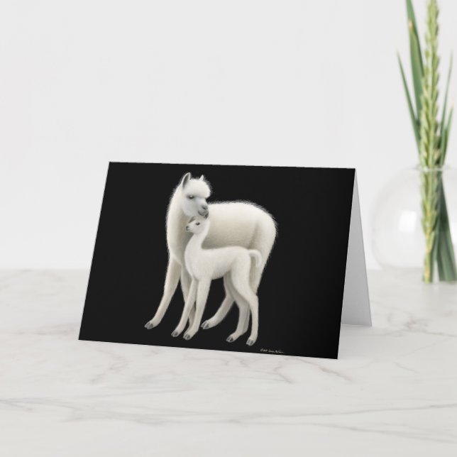 Cartão do amor da alpaca (Frente)