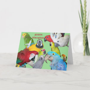 Cartão Do aniversário do rebanho