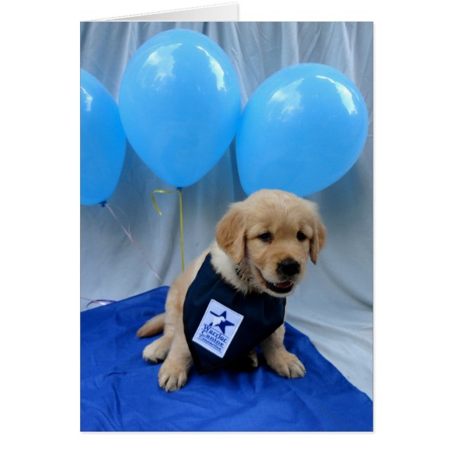 Cartão do balão de Levi (Frente)