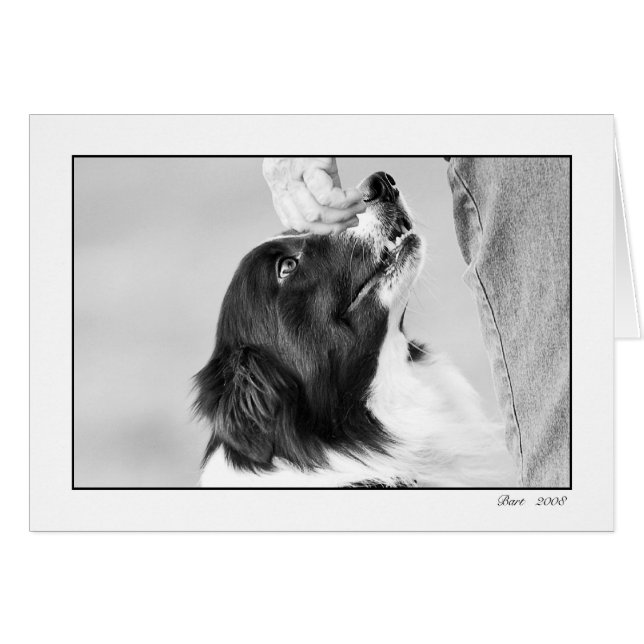 cartão do baronete (Frente horizontal)