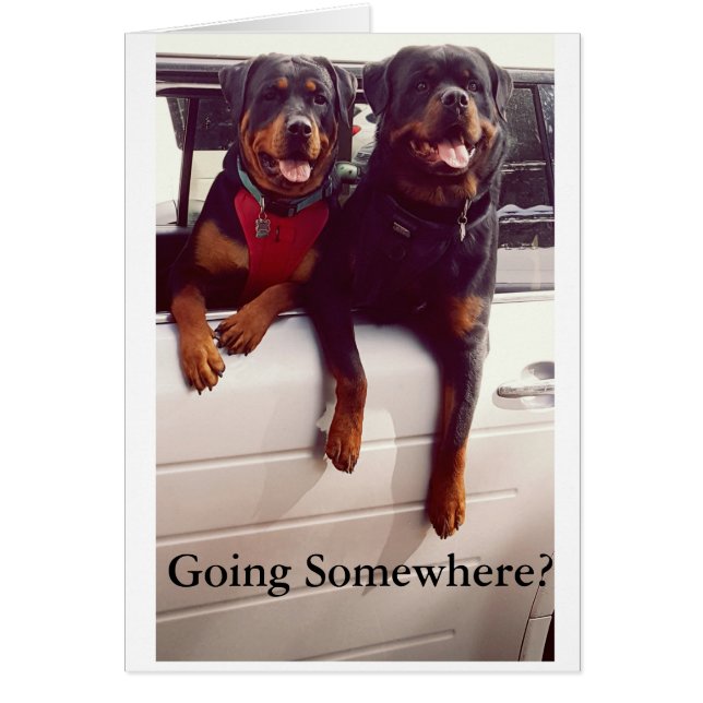 Cartão do bon voyage (Frente)