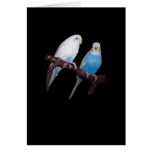 Cartão do budgie de Ariel e de Oscar
