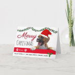 Cartão Do Cachorro de Natal<br><div class="desc">Crie dos cartões de Natal dos cães para enviar cartões de cão de férias a amigos que são amantes de cães. Personalize com sua saudação. Os cartões de Natal dos cães farão seus amigos apaixonados por cachorros sorrir. Os cartões de cão perfeitos para as empresas de estimação enviarem aos seus...</div>