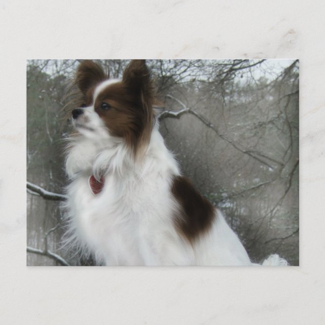 Cartão do canil do herói do beijo de Hershey (Frente)