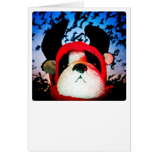 Cartão do cão de diabo (Frente)