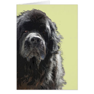 Cartão do cão de Terra Nova