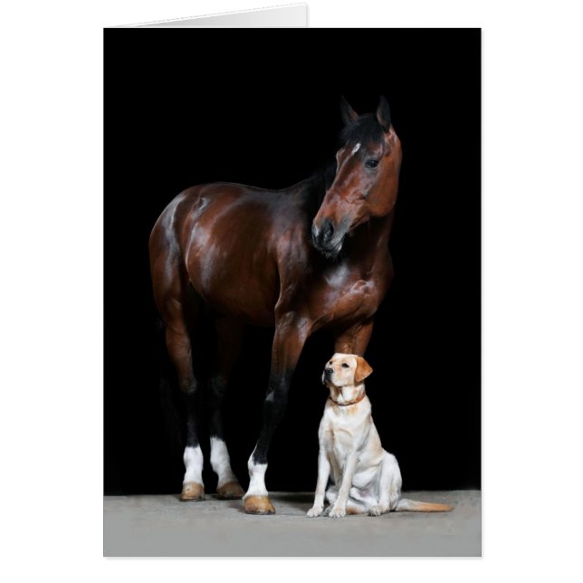 Cartão do cavalo (Frente)