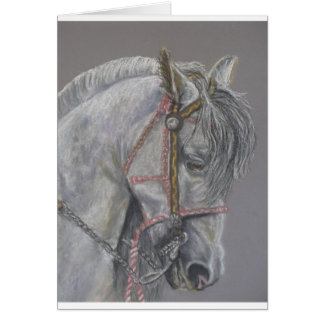 Cartão do cavalo de Andualusian