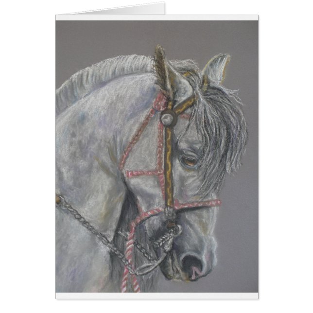 Cartão do cavalo de Andualusian (Frente)