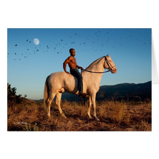 Cartão do cavalo do homem da lua do pássaro (Frente Horizontal)