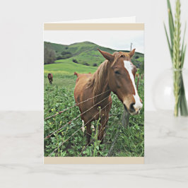 Cartão do cavalo, vazio