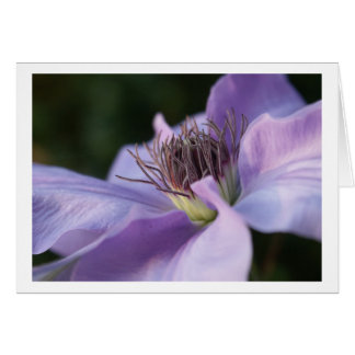 Cartão do Clematis roxo