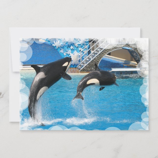 Cartão do convite da baleia (Frente)