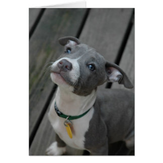 Cartão Do coração