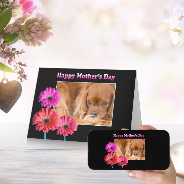 Cartão do Dia das Mães Cavalier King Charles Marga (Criador carregado)