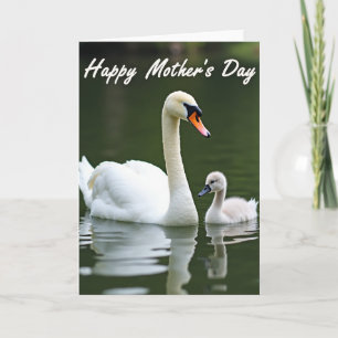 Cartão do Dia das Mães Cisne Gracioso