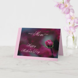Cartão do Dia das Mães com Rosa Cor-de-Rosa em Bro