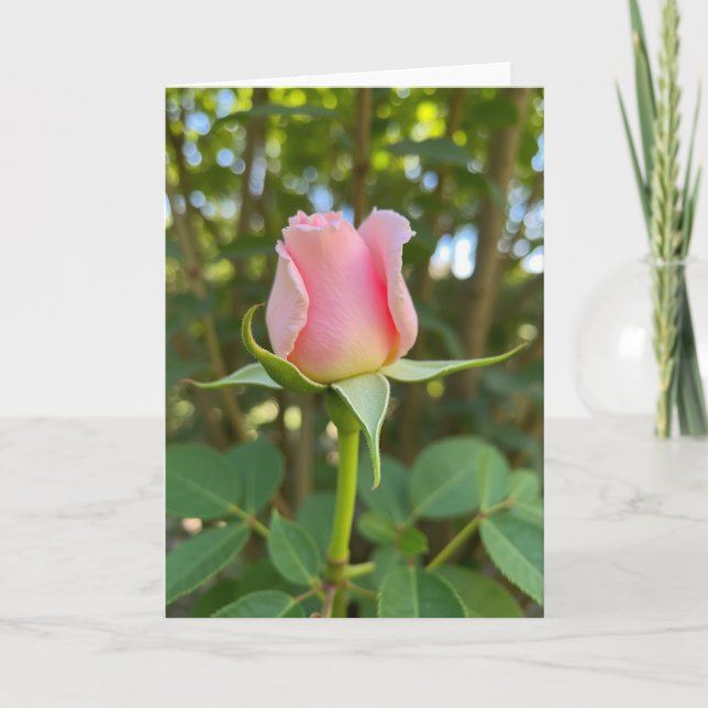 Cartão do Dia das Mães com Rosa Rosa em Flor (Frente)