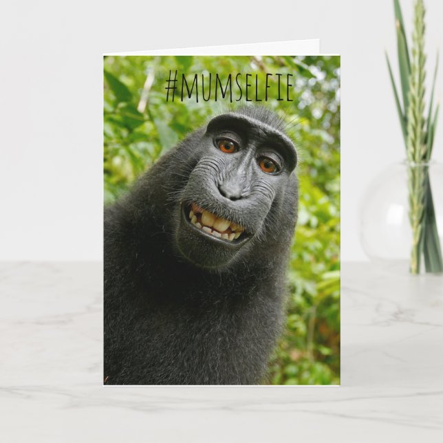 Cartão do Dia das Mães com selfie de macaco engraç (Frente)