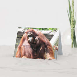 Cartão do Dia das Mães de Orangutango