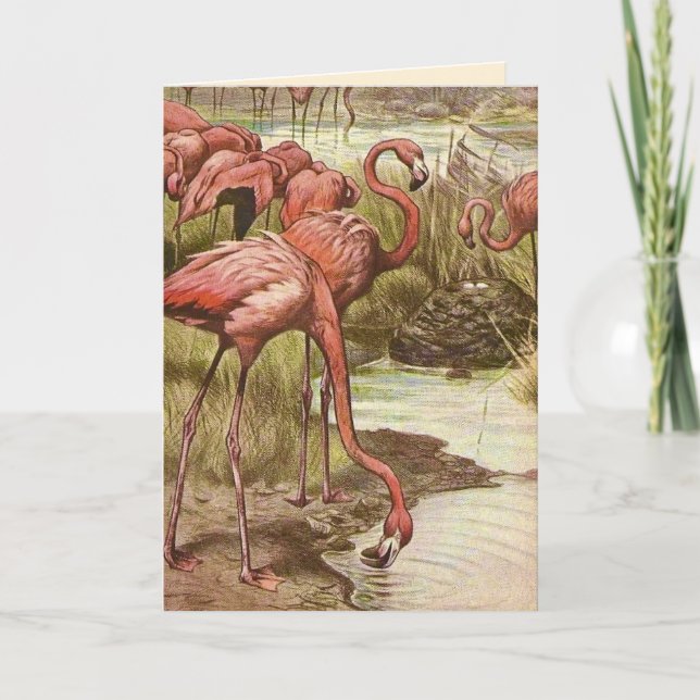 Cartão do Dia das Mães Flamingo Vintage (Frente)