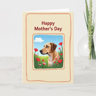Cartão do Dia das Mães Pasto de Cachorro