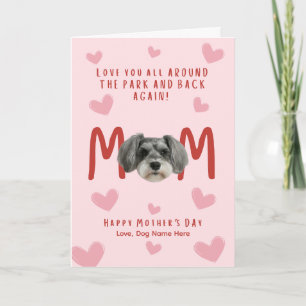 Cartão do Dia das Mães schnauzer