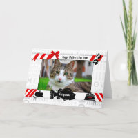 do Dia de as mães de Foto do Cat Red and Black Meo