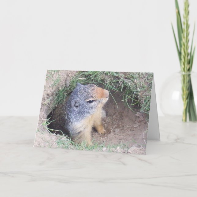 cartão do Dia do Marmota (Frente)