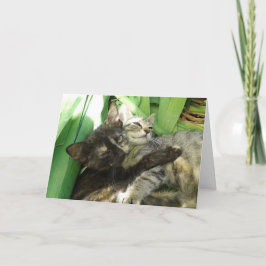 Cartão do Dia dos Namorados de gatinhos fofos se a