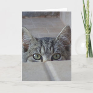 Cartão do dia dos namorados de kitten Peek-a-boo