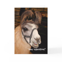 Cartão do dia dos namorados de Llove do lama