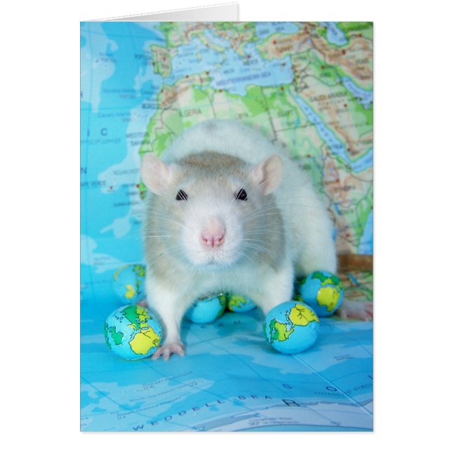 Cartão do Dia Mundial do Rato (Frente)