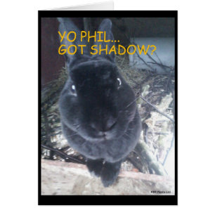 Cartão do dia/páscoa do porco à terra