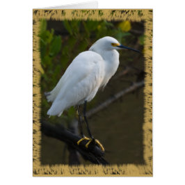 Cartão do Egret nevado