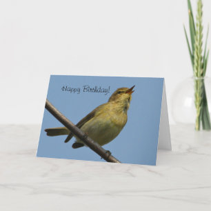 Cartão do feliz aniversario de ChiffChaff