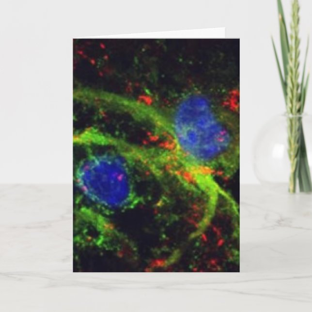 cartão do fibrinogénio (Frente)