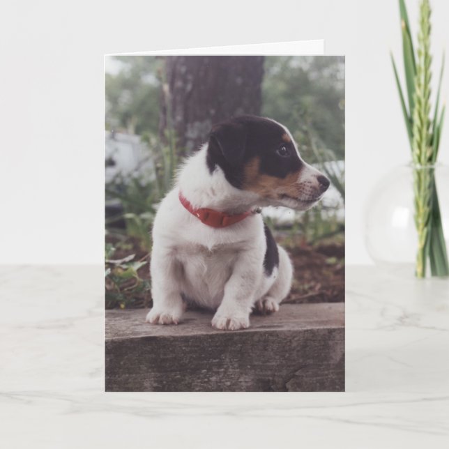 Cartão do filhote de cachorro (Frente)