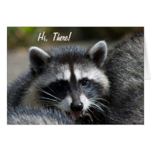 Cartão do Fim-Acima do guaxinim