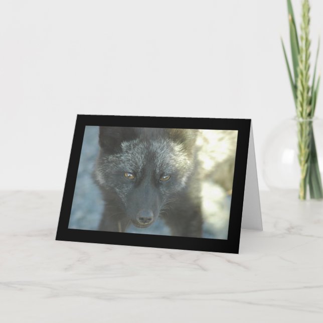 Cartão do Fox (Frente)