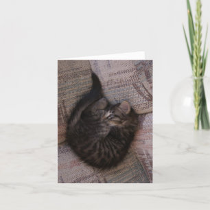 Cartão do gatinho da ioga