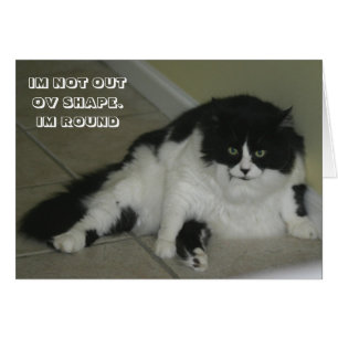 Cartão do gato de LOL